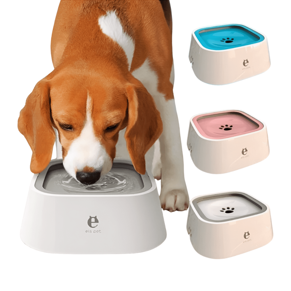 Anti - Spill Dog Water Bowl - Elora Moda