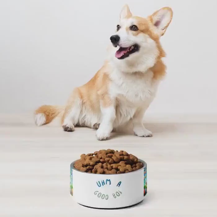 Load video: Easter Pet Bowl for Him | Cute Bunny Design, Durable Ceramic Dog Bowl, Perfect for Easter Celebrations &amp; Gifts