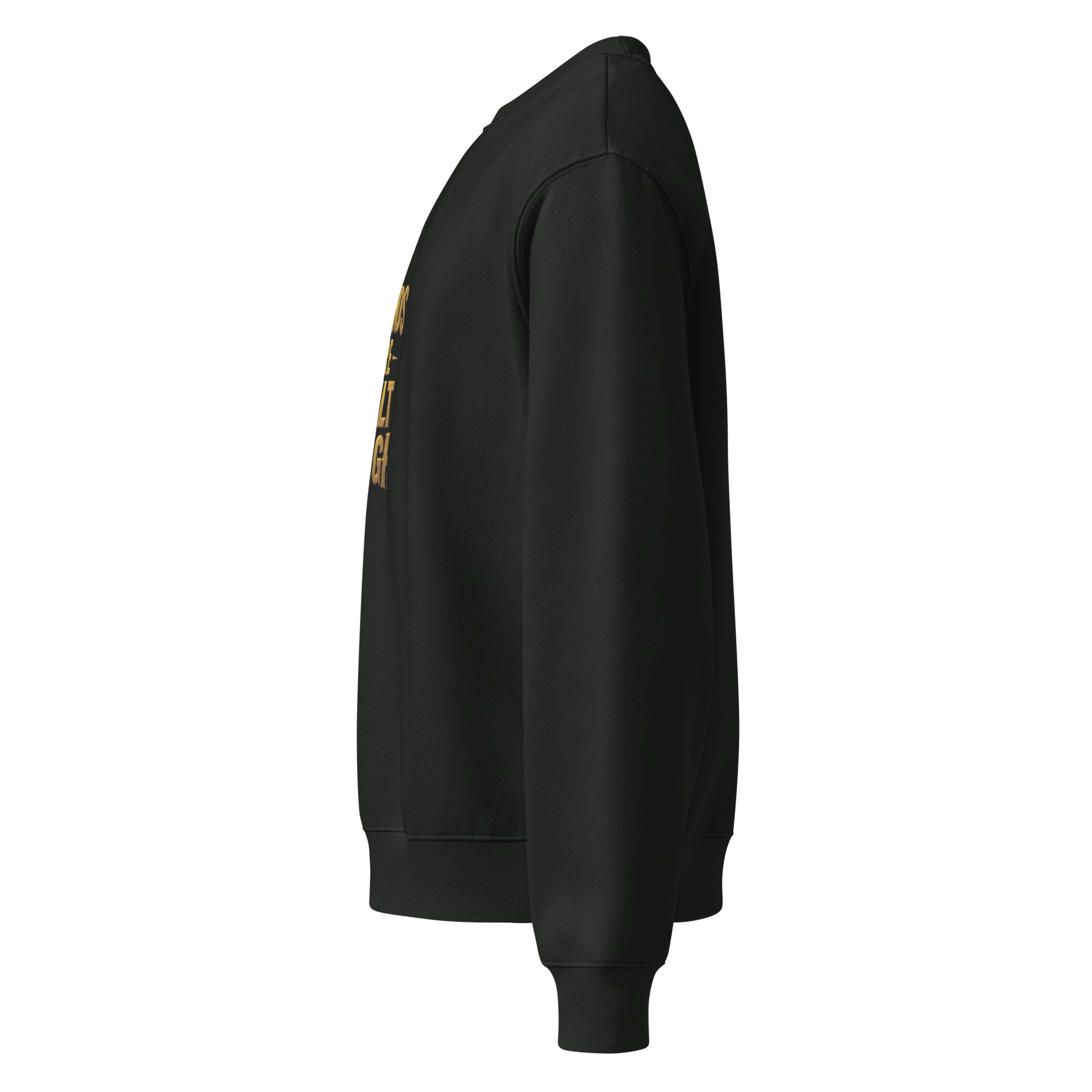 Oversized heavyweight sweatshirt - Elora Moda